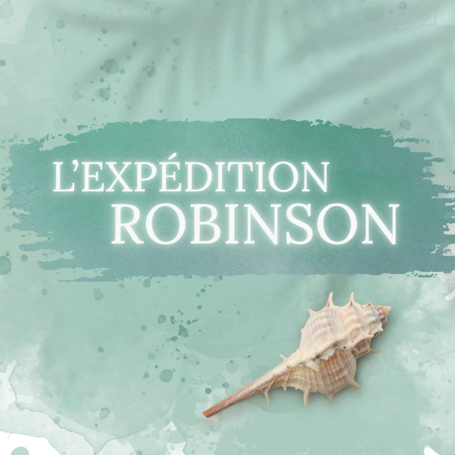 L'Expédition Robinson, serious game Studyo